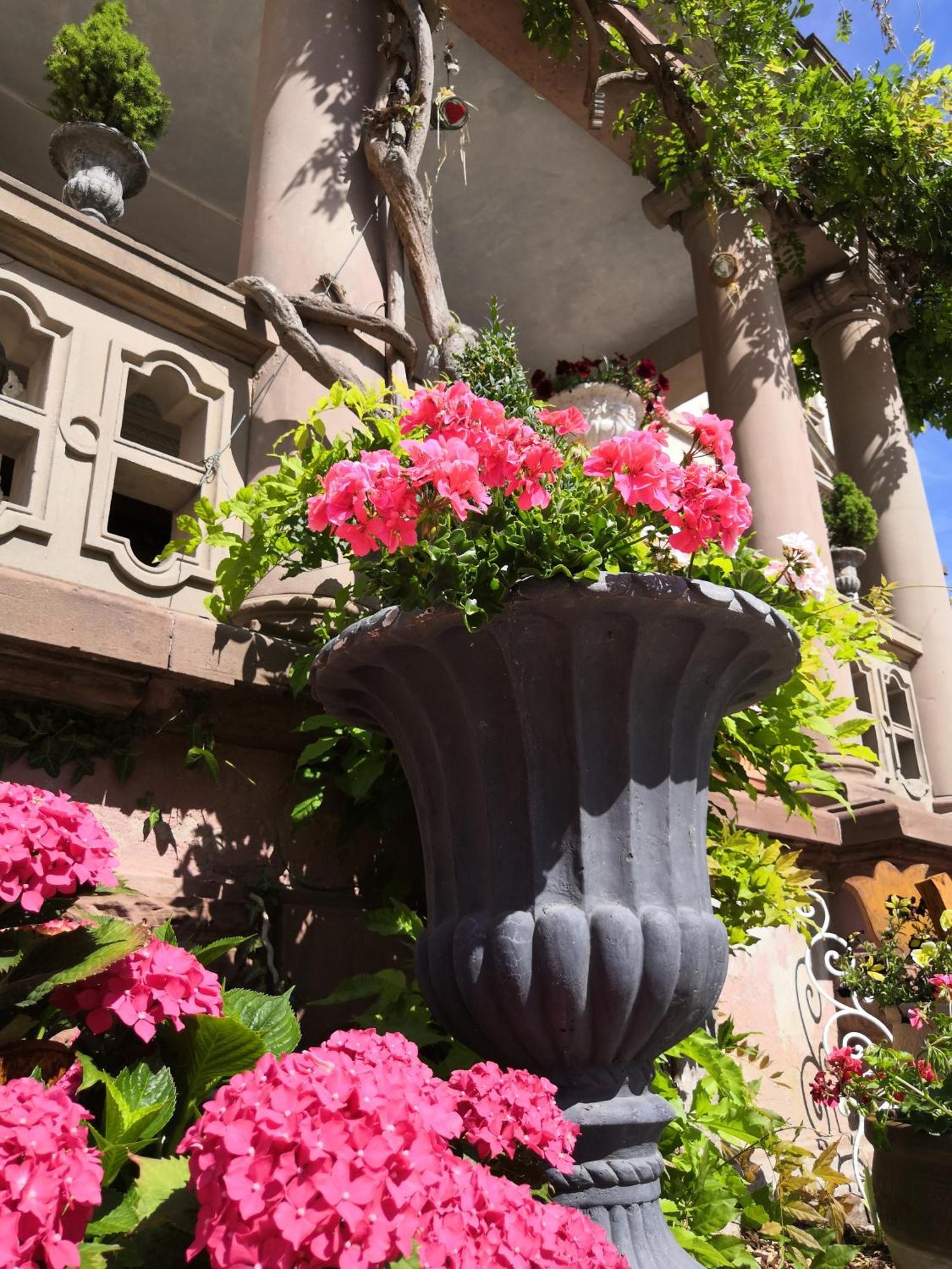 Castelnau Hotel Colmar Cameră foto